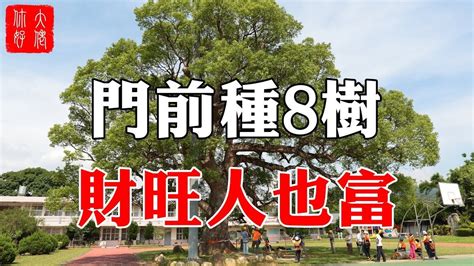 門前種什麼樹最好|【門前種什麼樹好】門前種哪3種樹最旺宅？避開6種厄運樹，財運。